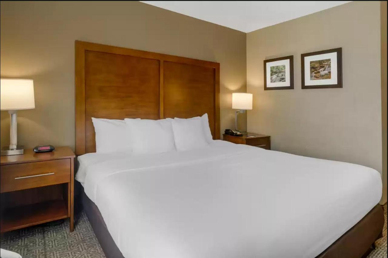 Comfort Inn & Suites Peachtree Corners Норкрос Екстер'єр фото